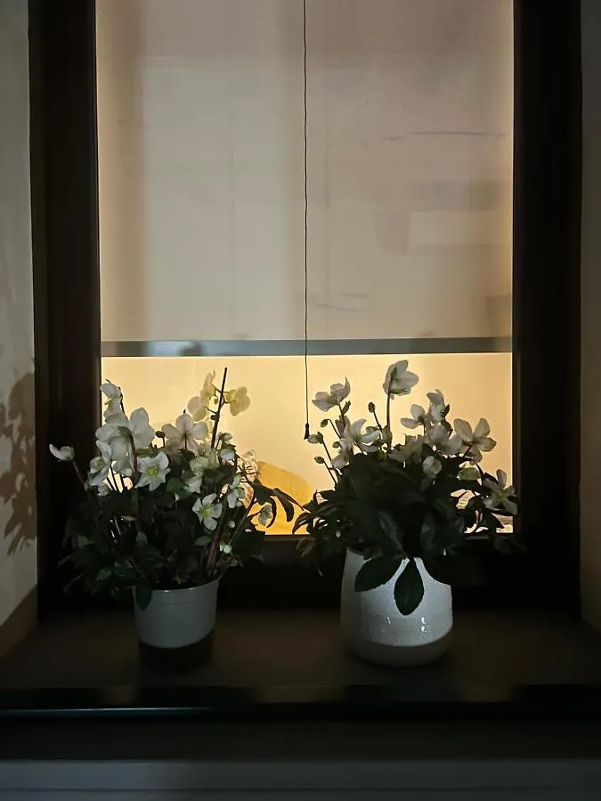 Casadea Apartment Cremona